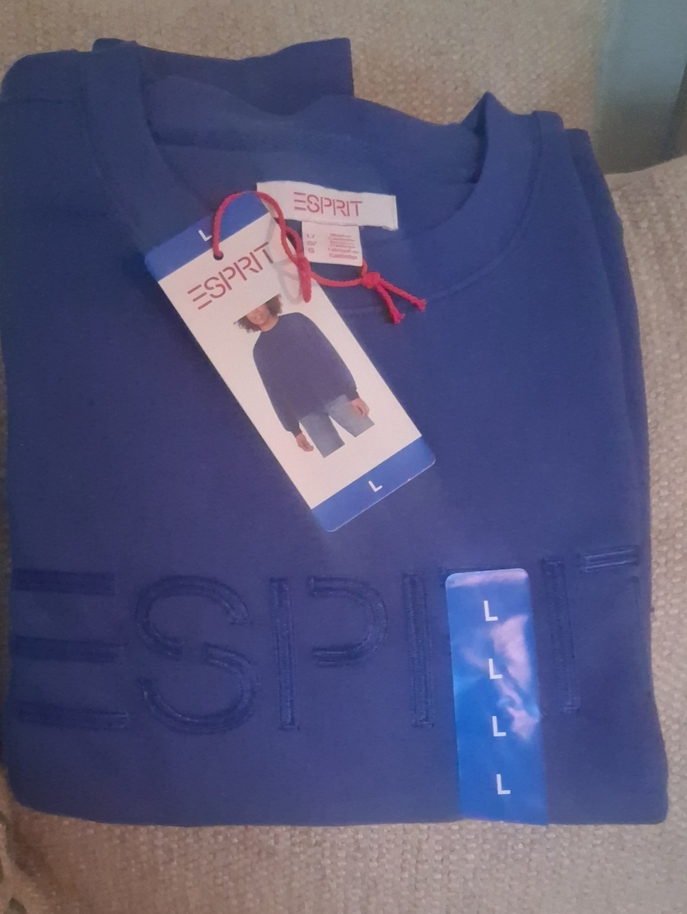 Esprit Blue Embroidered Logo Sweatshirt